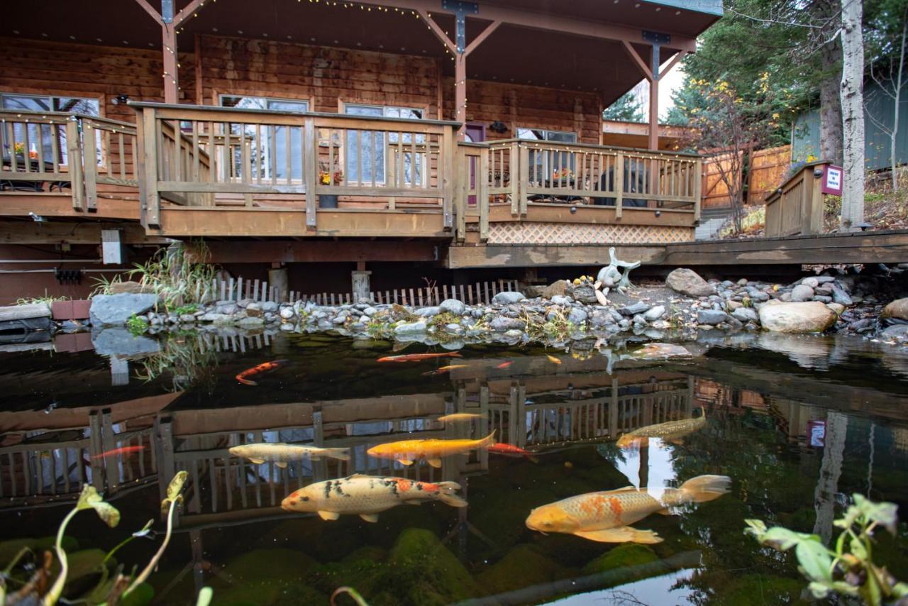 Bear Creek Winery And Lodging Bed and Breakfast Homer Esterno foto
