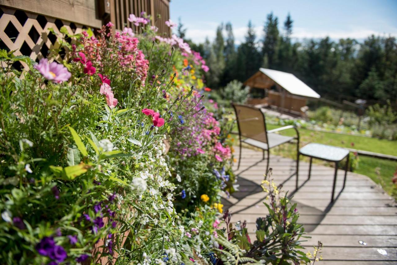 Bear Creek Winery And Lodging Bed and Breakfast Homer Esterno foto